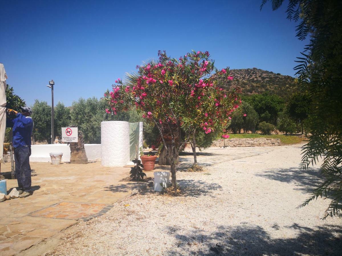 Casas Rurales Cortijo Torreblanca Parque Cabo De Gata El Pozo de los Frailes Exterior foto